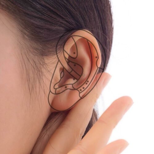 Curso de Auriculoterapia